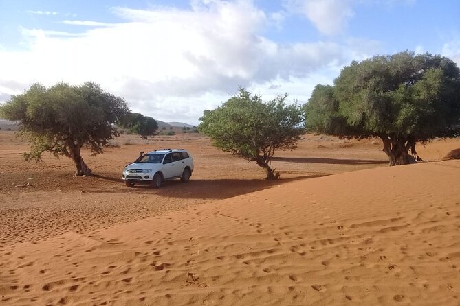 Desert and Ocean Private Day Tour - Youssef Ibn Tachfine Dam and the irrigated south