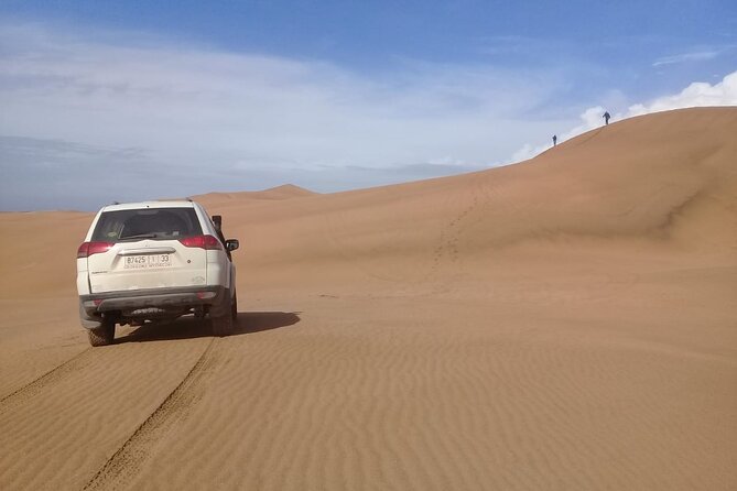 Desert and Ocean Private Day Tour - Guides, driving, and the private format