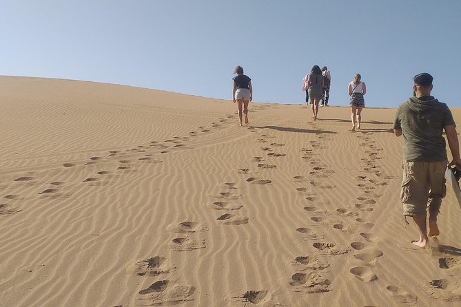 Desert and Wild Beach Day Trip with Meal - Key points at a glance