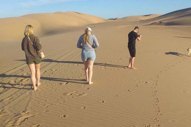 Desert and Wild Beach Day Trip with Meal - Why the 4x4 route changes the experience