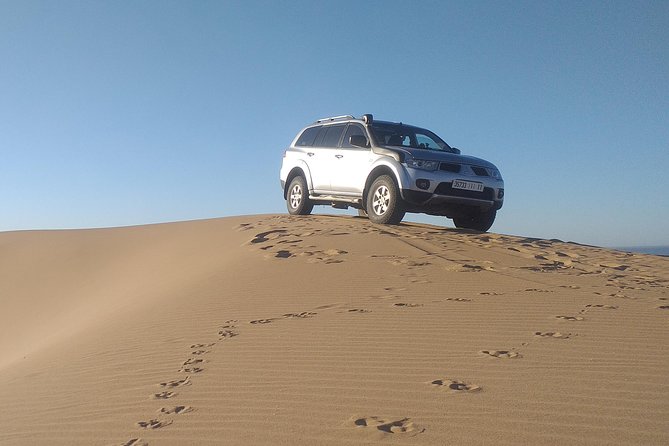 Desert and Wild Beach Day Trip with Meal - Guides, drivers, and the human side