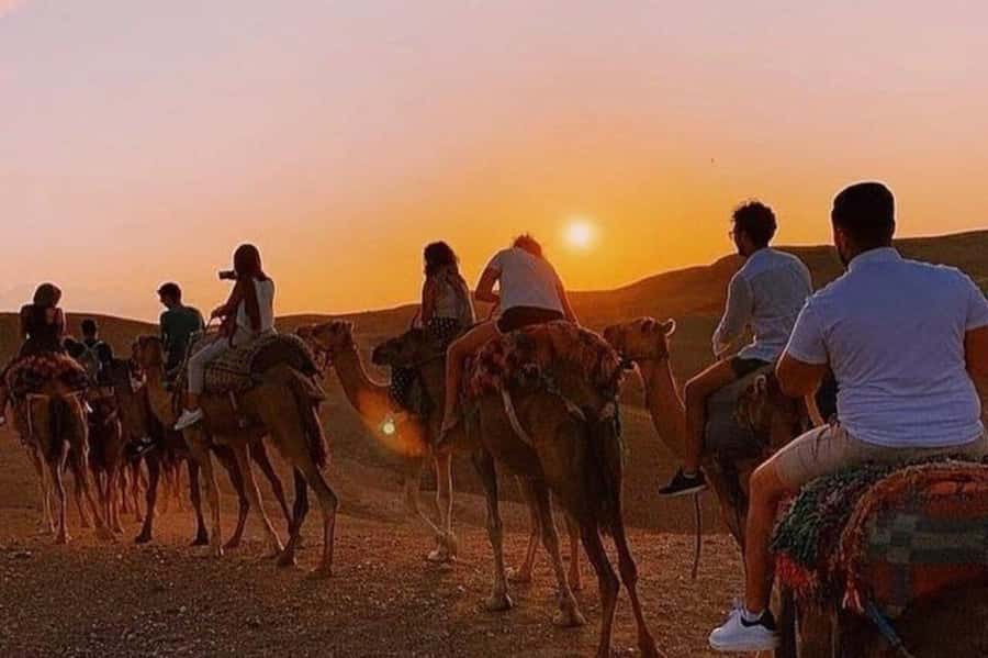Desert & Beach Quad Adventure With Camel Ride - The five details that matter most