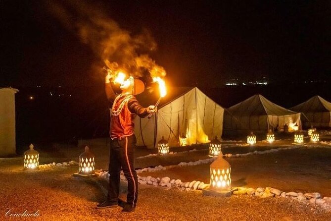Desert D'Agafay Package - Quad, Dromedary and Dinner Show - Key Points Before You Book