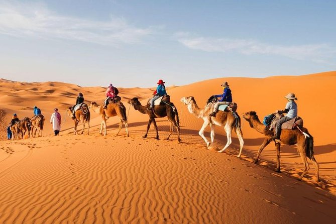 Desert Dreams Marrakech to Merzouga 3-Day Adventure - Day one: crossing Tizi n Tichka to Ait Ben Haddou