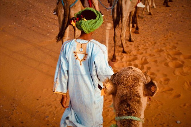 Desert Dreams Marrakech to Merzouga 3-Day Adventure - The guides and the feel of the group