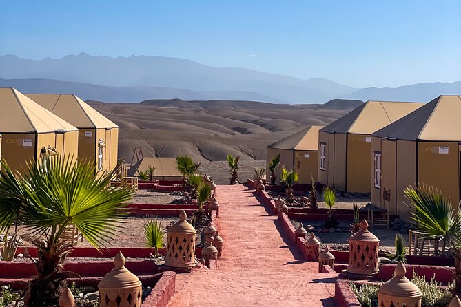 Desert Full Day: Quad, Camel, Dinner & Show or Pool Day and Lunch - The Pool Day From 9:30 am to 5 pm