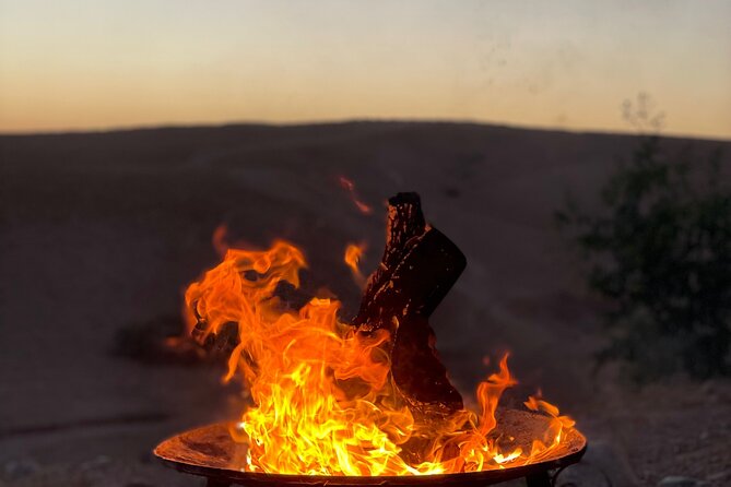 Desert Full Day: Quad, Camel, Dinner & Show or Pool Day and Lunch - What Agafay Is Really Like