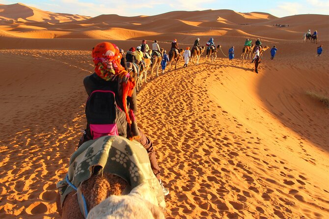 Desert Trip:Fès-Merzouga(1 Night)-Ouarzazat(1 Night)-Marrakech - A long first day from Fès to the cedar forest