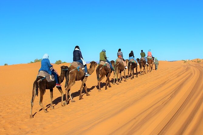 Desert Trip:Fès-Merzouga(1 Night)-Ouarzazat(1 Night)-Marrakech - Roses, kasbahs, and Ouarzazate after dark