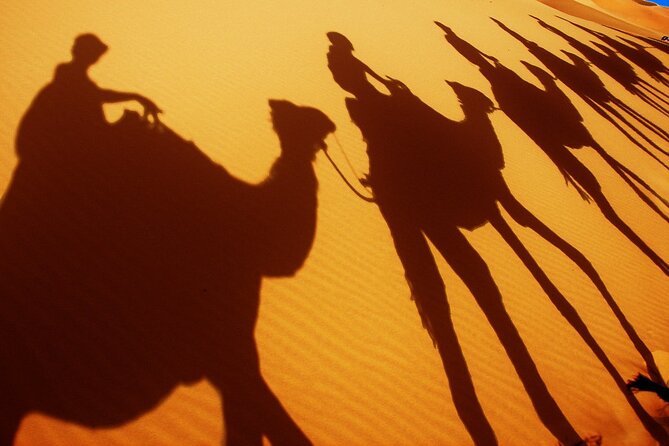 Desert Trip:Fès-Merzouga(1 Night)-Ouarzazat(1 Night)-Marrakech - Group size, guides, and the level of service