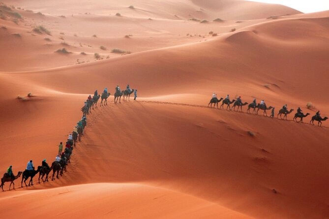 Desert Trip:Fès-Merzouga(1 Night)-Ouarzazat(1 Night)-Marrakech - Sunrise and the road toward Todgha Gorge