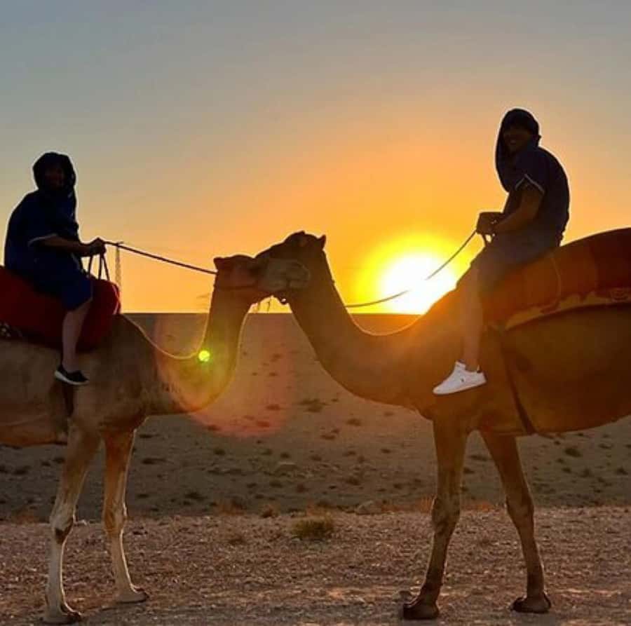 DINNER IN AGAFAY DESERT UNDER THE STARS WITH SHOW AND CAMELS - Key points to know before booking