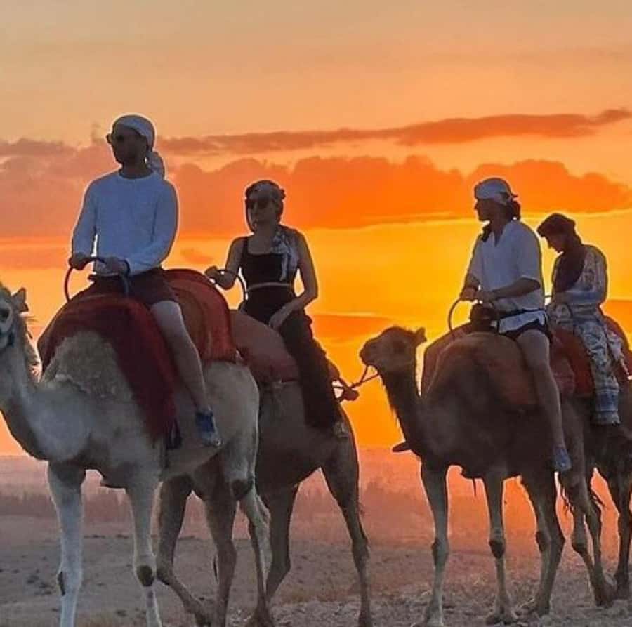 DINNER IN AGAFAY DESERT UNDER THE STARS WITH SHOW AND CAMELS - Who should book this Agafay evening