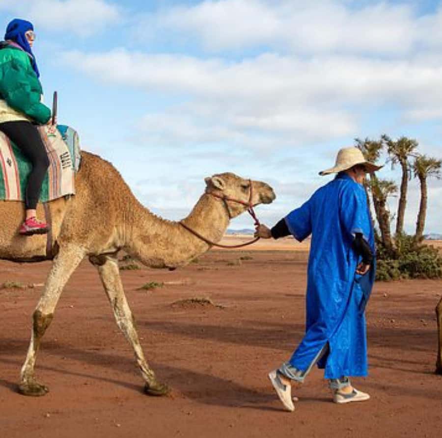 Dinner show in agafay Desert 1h quad bike & 20 min camels - Who Should Book This Agafay Tour?