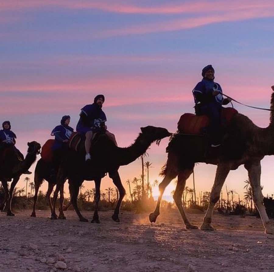 Dinner show in agafay Desert 1h quad bike & 20 min camels - Leaving Marrakech for Agafay’s Rocky Desert