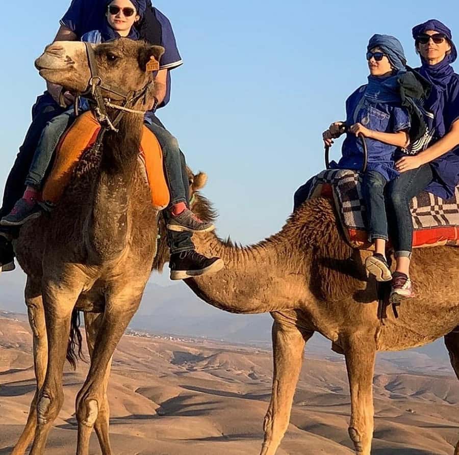 Dinner show in agafay Desert 1h quad bike & 20 min camels - Dinner Under Candlelight