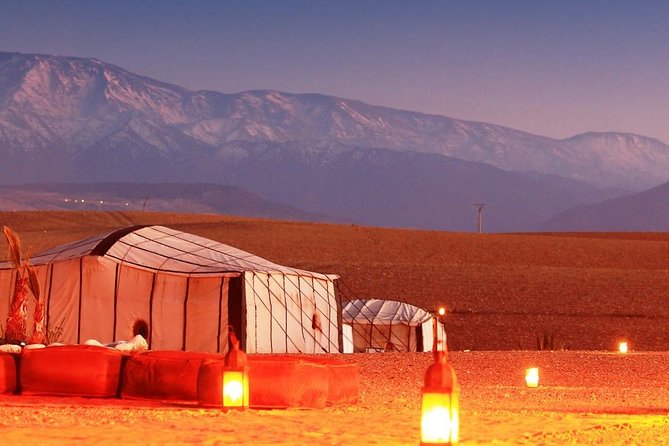 Dinner Show in Agafay Desert with Quad Bike & Camels - Quad biking across the rocky desert