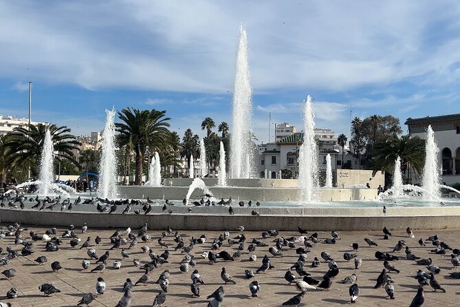 Discover Casablanca: Mosque & City Tour - Ain Diab and the Atlantic edge