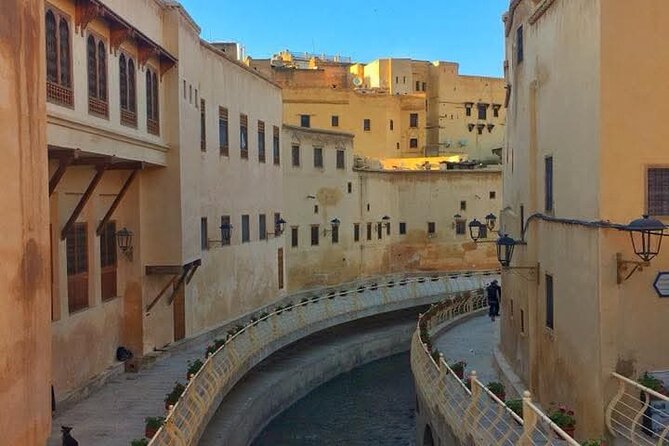 Discover Fes with the Best -Authentic Tours Unforgettable Stories - Chouara Tannery: the tour’s most memorable visual stop
