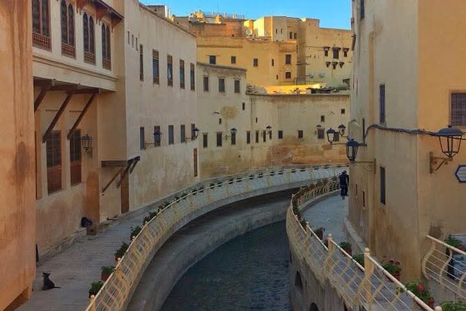 Discover Fes with the Best -Authentic Tours Unforgettable Stories - Sidi Ahmed Al-Tijani Zawiya: context for Moroccan Sufism