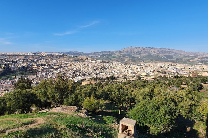 Discover Fez with a local - The Holy Triangle of Fez