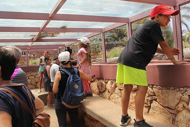 Effortless Agadir Crocoparc Ticket and Transfer Service - A botanical garden that earns its place
