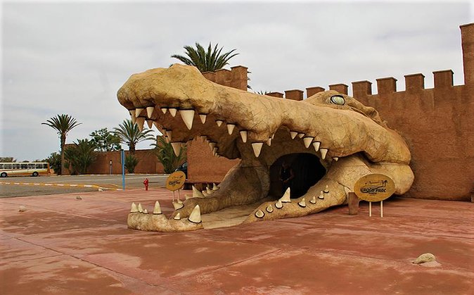 Effortless Agadir Crocoparc Ticket and Transfer Service - Watching the crocodiles at rest and at feeding time