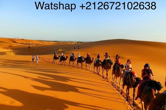 Enjoy camp 1 night .Camel.sunset sunrise drums Quad Sunboard - Tajine, mint tea, and drums after dark