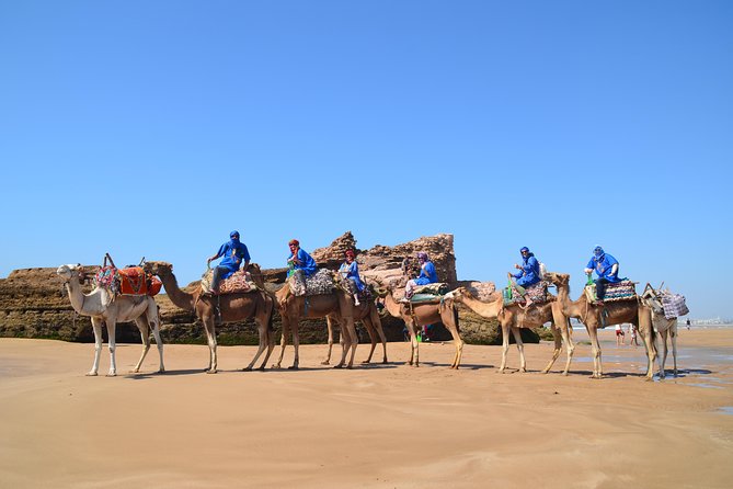 Essaouira: 1/2 Day Camel ride with meal. - A slow ride through beaches, forest, and dunes