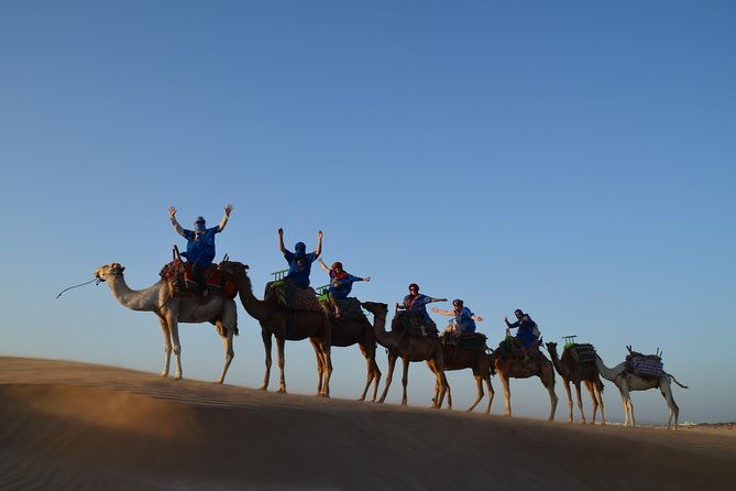Essaouira: 1/2 Day Camel ride with meal. - Cap Sim brings the best scenery