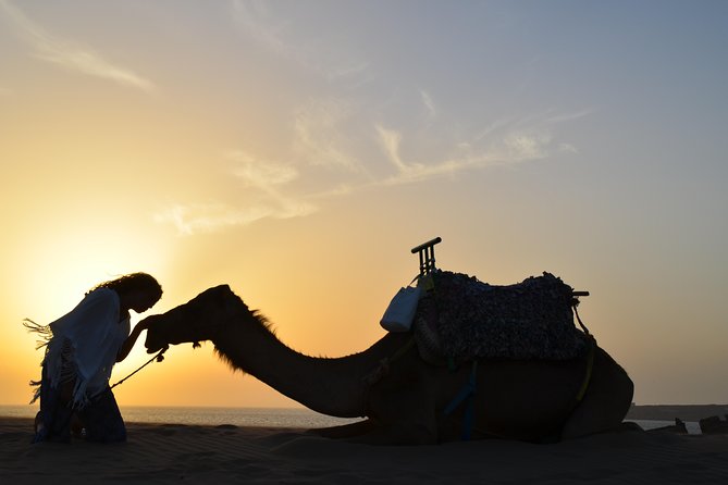 Essaouira: 1/2 Day Camel ride with meal. - Guides can shape the whole experience