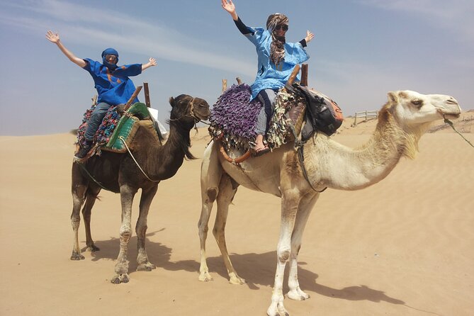 Essaouira 1 hour discovery ride on the back of a camel - Mounting the camel for a one-hour ride