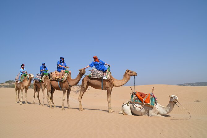 Essaouira 1 hour discovery ride on the back of a camel - Diabat Village and the Dar Sultan ruins