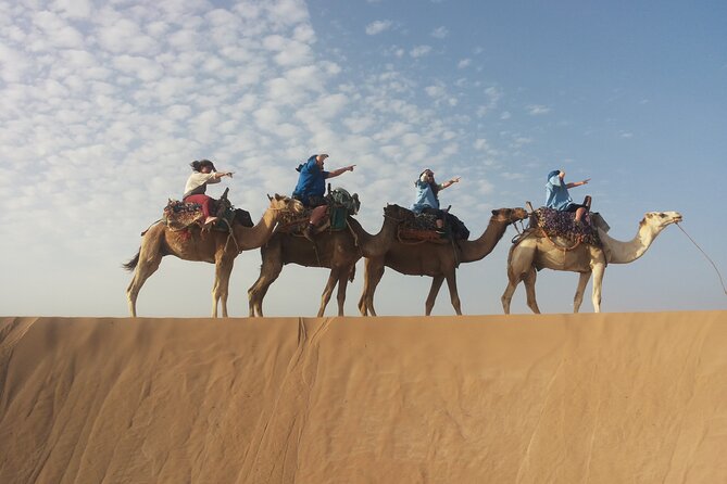 Essaouira 1 hour discovery ride on the back of a camel - What the $23.23 price really buys