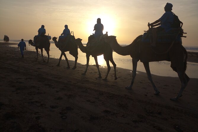 Essaouira: 1 Hour Dromedary + 2 Hours Quad - Why This Essaouira Combination Works