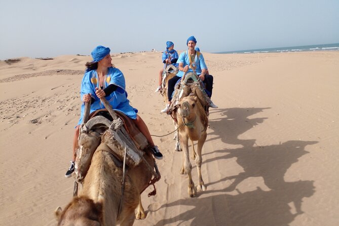 Essaouira: 1 Hour Dromedary + 2 Hours Quad - Beach, Dunes, and Forest Instead of One Repeated View