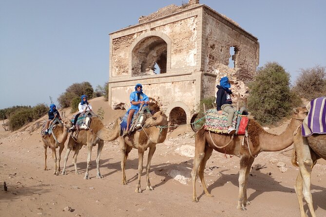 Essaouira: 1 Hour Dromedary + 2 Hours Quad - The One-Hour Dromedary Ride by the Sea