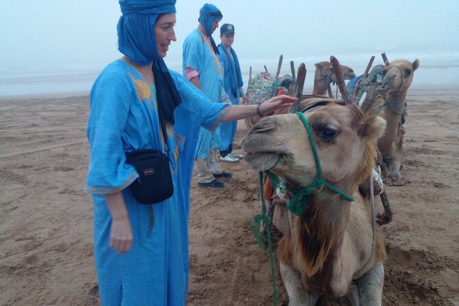 Essaouira: 1 Hour Dromedary + 2 Hours Quad - Sunset Is the Best Reason to Watch the Timing