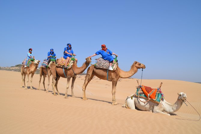 Essaouira 2-Hour Camel Adventure Ride - Starting at Bab Marrakech in Essaouira