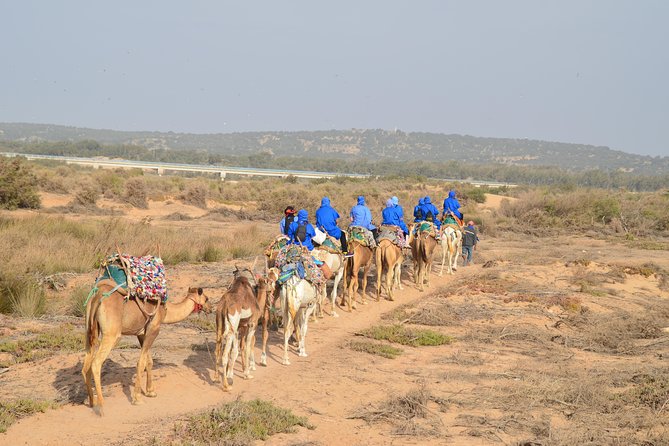 Essaouira 2-Hour Camel Adventure Ride - Across beaten tracks, dunes, and forest