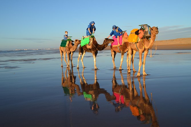 Essaouira 2-Hour Camel Adventure Ride - Sunset, tea, and what to confirm