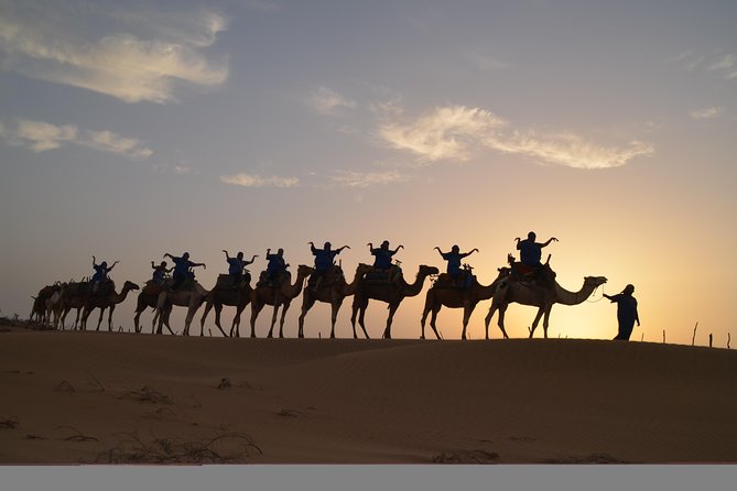 Essaouira 2-Hour Camel Adventure Ride - Is $40.71 a fair price?