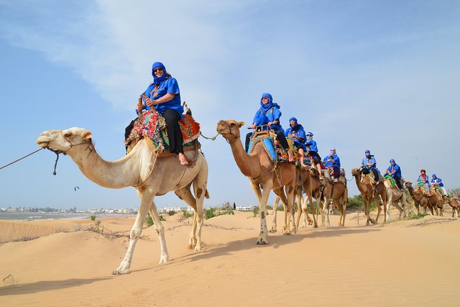Essaouira 2-Hour Camel Adventure Ride - Portuguese borj and the ruins of Dar Soltane