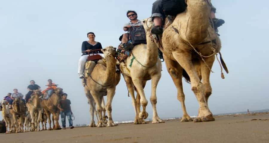 Essaouira: 2-Hour Camel Ride - Key points at a glance