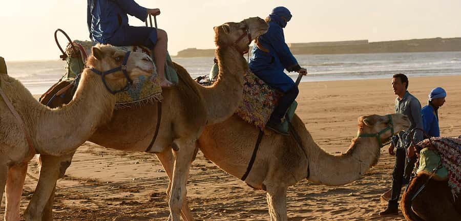 Essaouira: 2-Hour Camel Ride - Practical strengths and possible weak spots