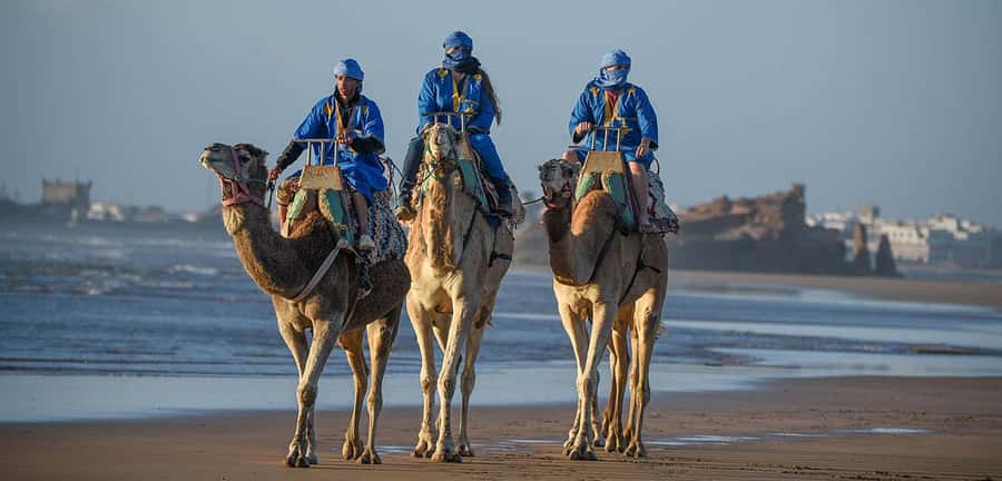 Essaouira: 2-Hour Camel Ride - Mounting up and finding the rhythm