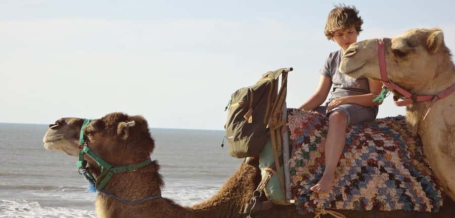 Essaouira: 2-Hour Camel Ride - Along the open Atlantic beach