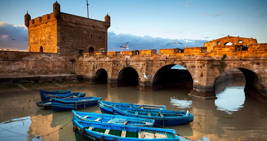 Essaouira: 2-Hour Camel Ride - Dunes, forest, and the return route