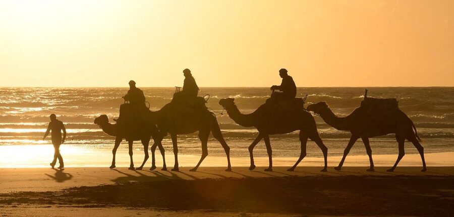 Essaouira: 2-Hour Camel Ride - The guide makes the difference