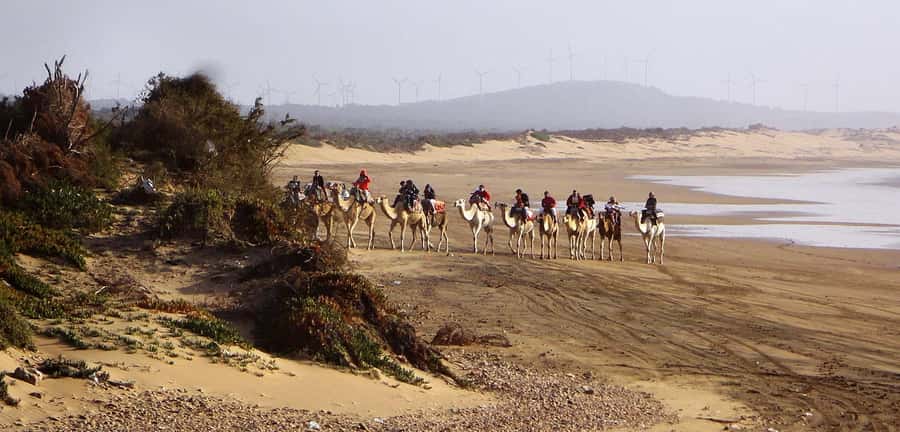 Essaouira: 2-Hour Camel Ride - Is $47 a fair price?